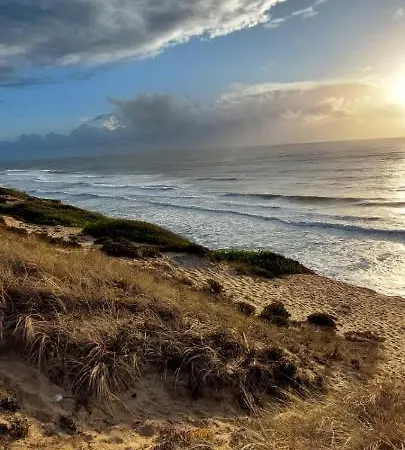 Cozy Surfer House Perfect For Digital Nomads Apartment